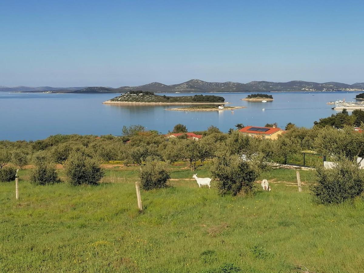 Apartman 2 Punta Pakoštane Exteriér fotografie